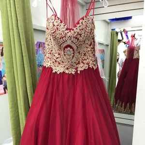 Quinceañera dress
